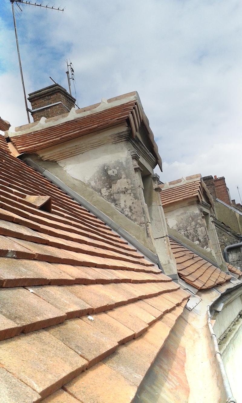 toiture tuile plates remalard